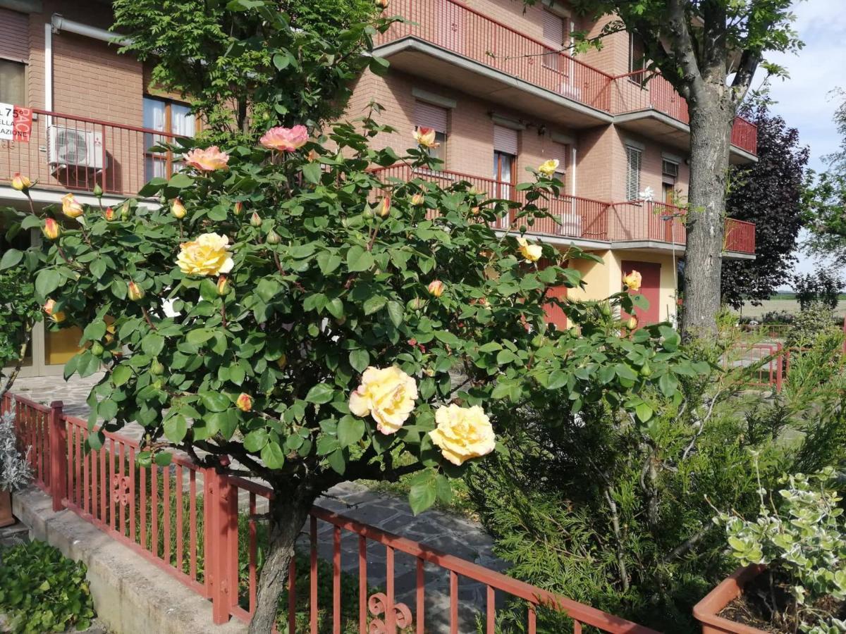 Ravarino Gold B&B מראה חיצוני תמונה